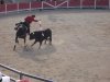 corrida provence